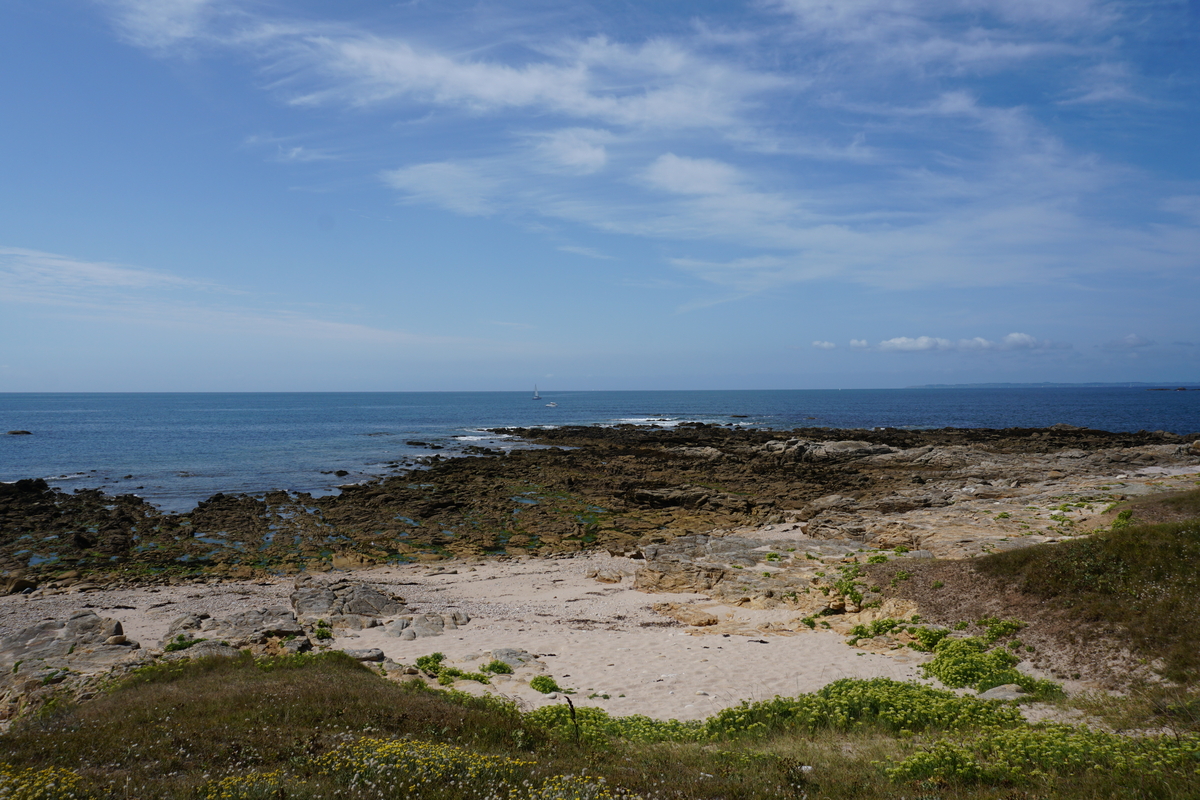 รูปถ่าย ฝรั่งเศส(France) เกาะเอดิก(Hoedic) 2016-08 75