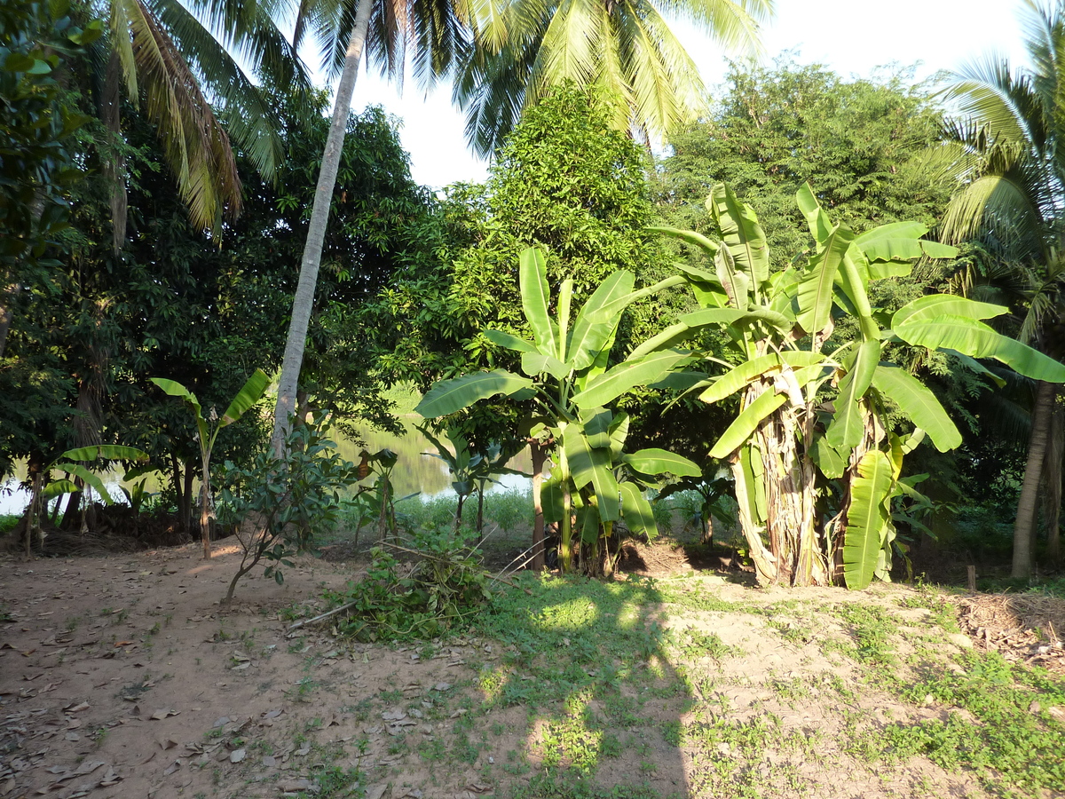 รูปถ่าย ไทย(Thailand) พิษณุโลก(Phitsanulok) จอมทอง(Chom Thong) 2009-12 16