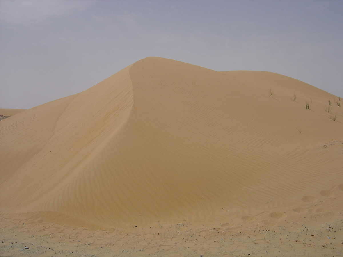 รูปถ่าย สหรัฐอาหรับเอมิเรตส์(United Arab Emirates) จากดูไบไปถนนอัลอิน(Dubai to Al Ain road) 2005-03 33