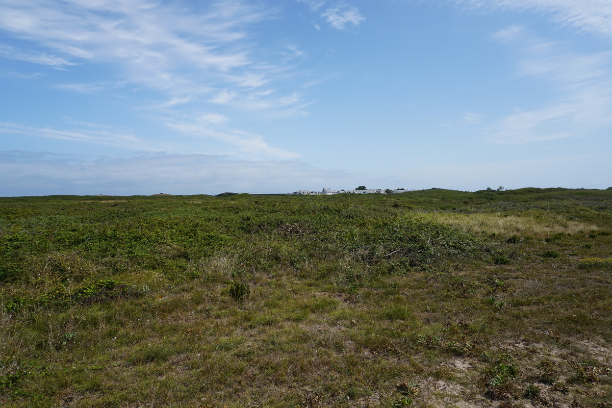 รูปถ่าย ฝรั่งเศส(France) เกาะเอดิก(Hoedic) 2016-08 98