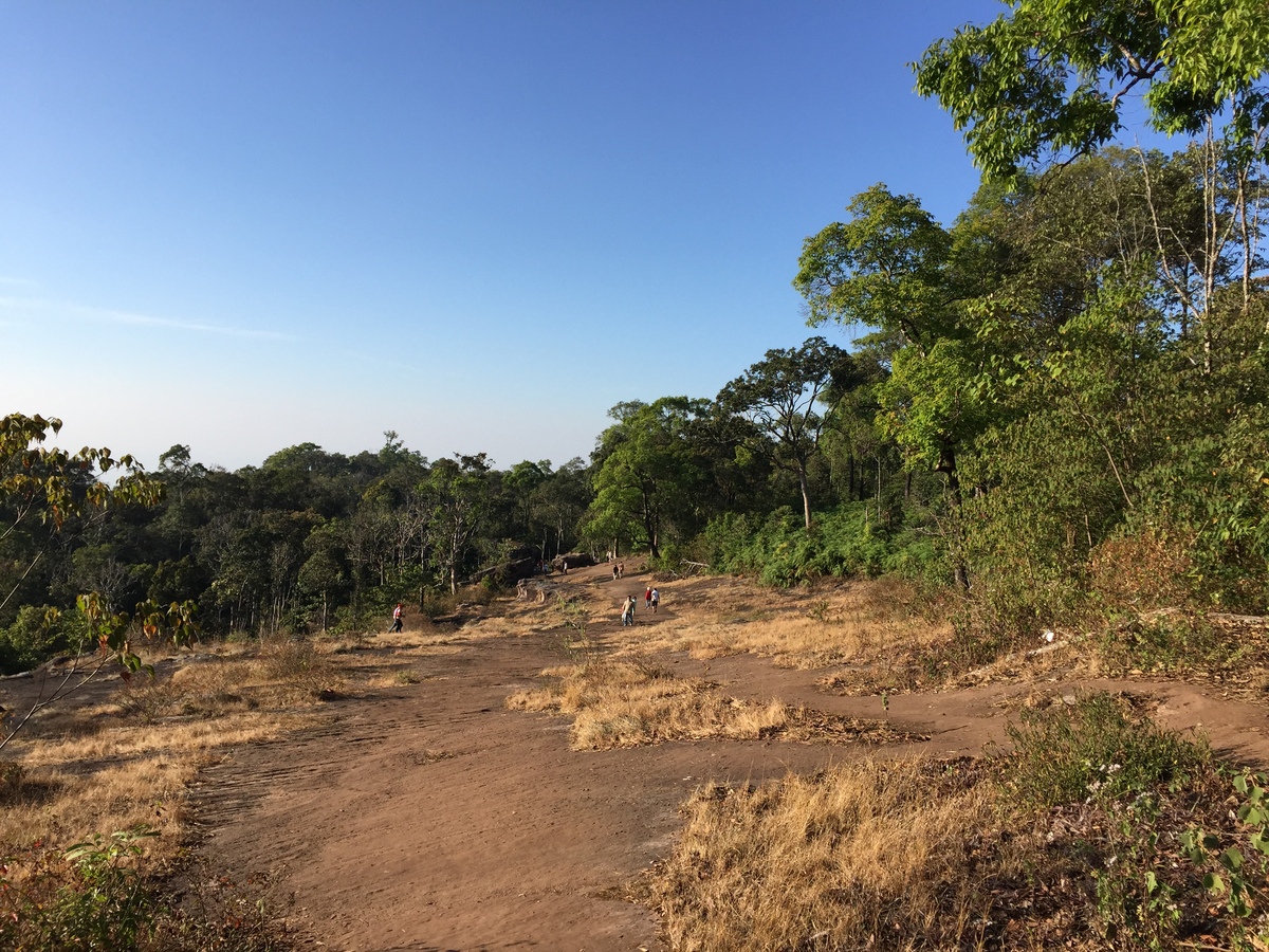 รูปถ่าย ไทย(Thailand) อุทยานแห่งชาติภูหินร่องกล้า(Phu Hin Rong Kla National Park) 2014-12 121
