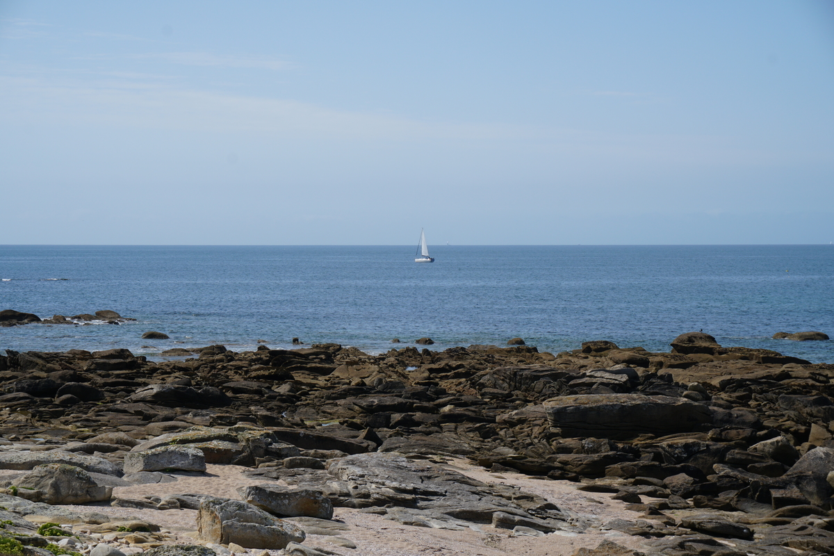 รูปถ่าย ฝรั่งเศส(France) เกาะเอดิก(Hoedic) 2016-08 105