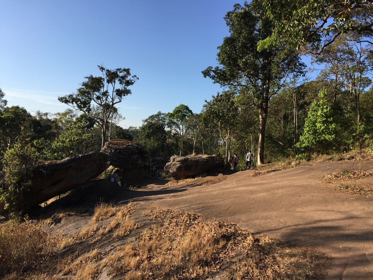 รูปถ่าย ไทย(Thailand) อุทยานแห่งชาติภูหินร่องกล้า(Phu Hin Rong Kla National Park) 2014-12 165
