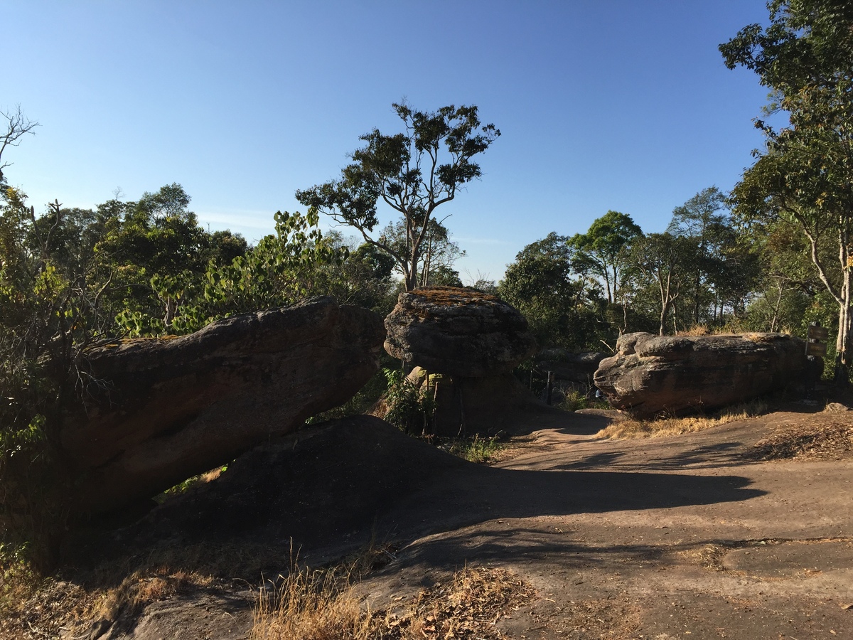 รูปถ่าย ไทย(Thailand) อุทยานแห่งชาติภูหินร่องกล้า(Phu Hin Rong Kla National Park) 2014-12 169