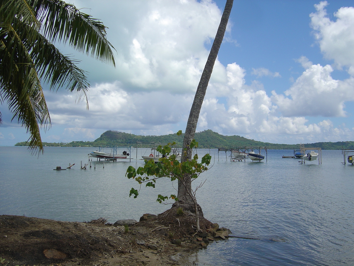 รูปถ่าย เฟรนช์โพลี่นีเซีย(Polynesia) โบราโบรา(Bora Bora) 2006-04 10