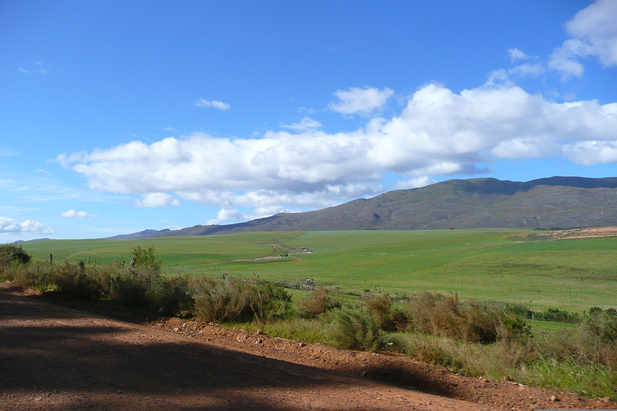 รูปถ่าย แอฟริกาใต้(South Africa) ถนนจากเฮอร์มานัสไปไนส์นา(Harmanus to Knysna road) 2008-09 6
