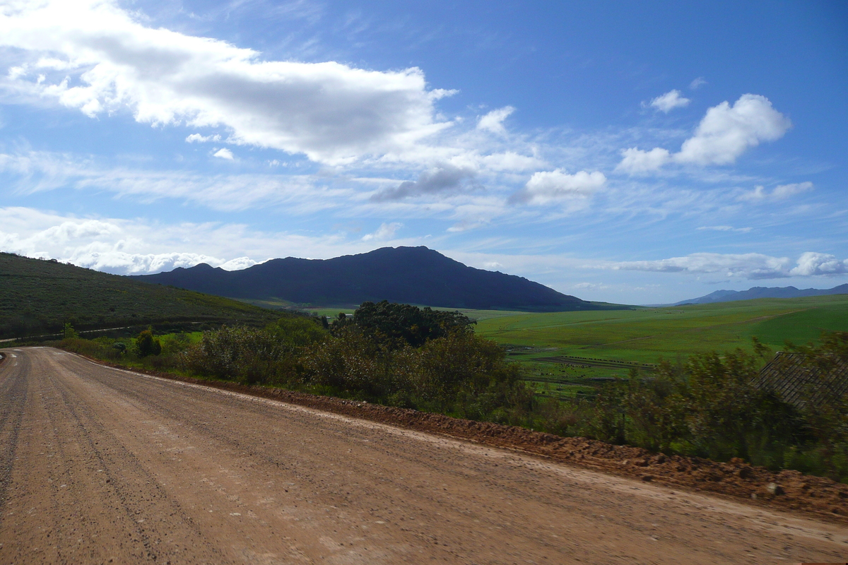 รูปถ่าย แอฟริกาใต้(South Africa) ถนนจากเฮอร์มานัสไปไนส์นา(Harmanus to Knysna road) 2008-09 16