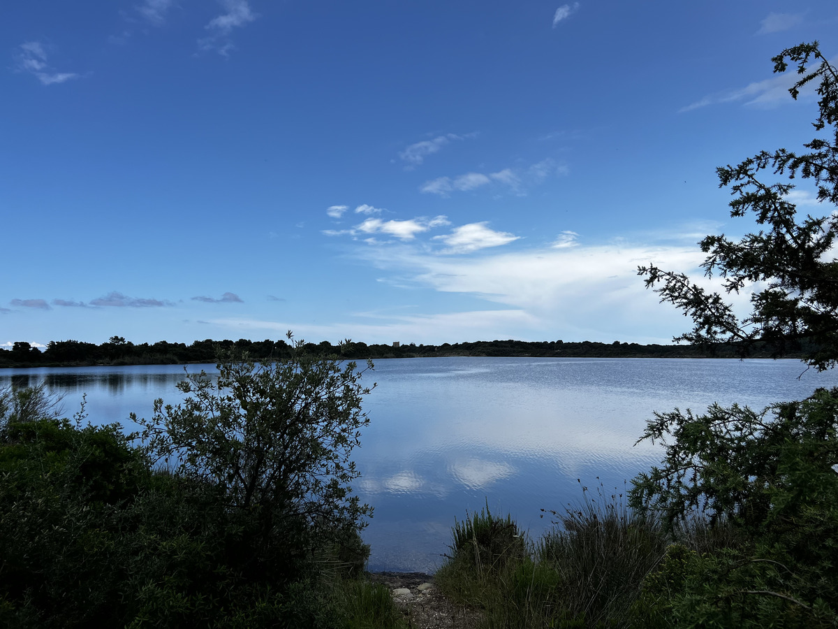 รูปถ่าย ฝรั่งเศส(France) คอร์สิคา(Corsica) บึงดียาน(Etang de Diane) 2023-06 4