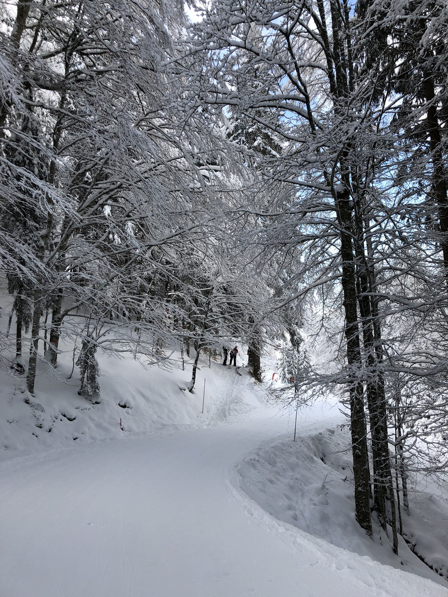 รูปถ่าย ฝรั่งเศส(France) ลากลูซา(La Clusaz) 2017-12 305