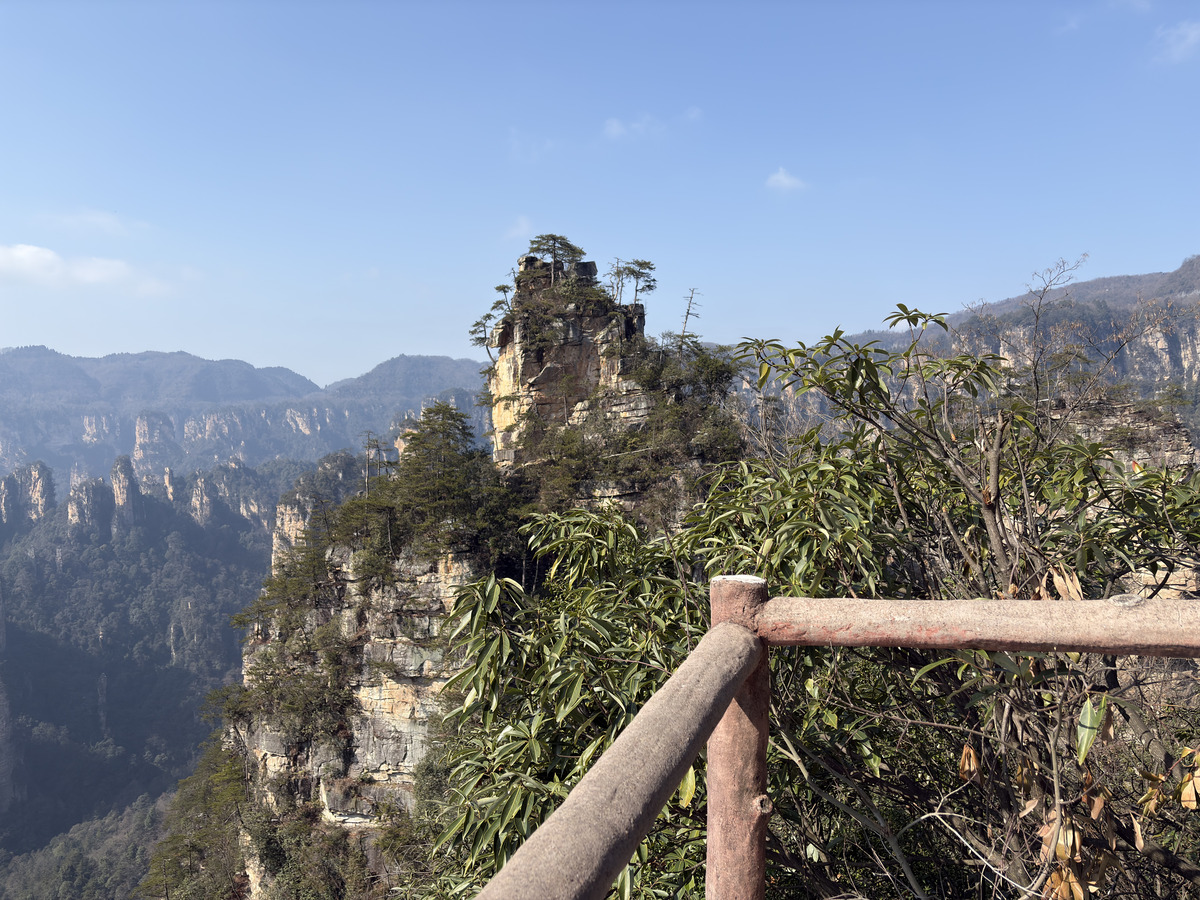 รูปถ่าย จีน(China) จางเจียเจี้ย(Zhangjiajie) ภูเขาเทียนจื่อ(Tianzi Mountain) 2026-01 113