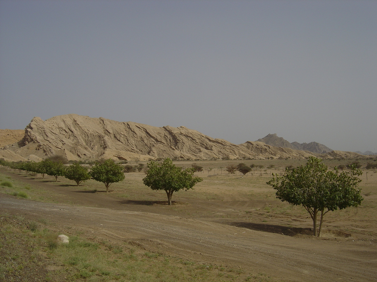 รูปถ่าย โอมาน(Oman) จากบูไรมิไปถนนโซฮาร์(Buraimi to Sohar road) 2005-03 7