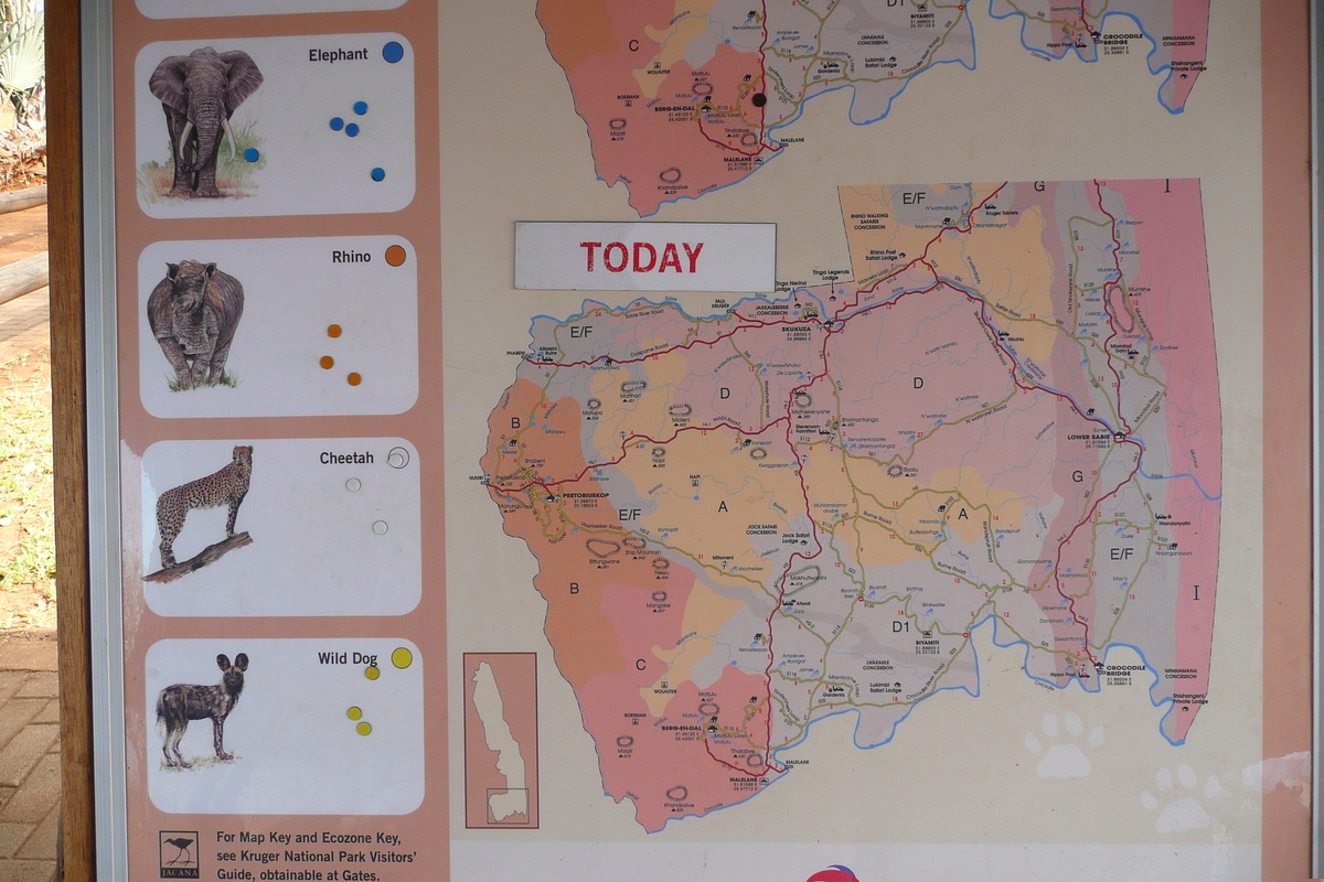 รูปถ่าย แอฟริกาใต้(South Africa) อุทยานแห่งชาติครูเกอร์(Kruger National Park) 2008-09 37