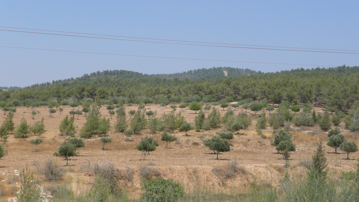 รูปถ่าย อิสราเอล(Israel) ถนนจากอัชเคลอนไปอาราด(Ashkelon to Arad road) 2007-06 142