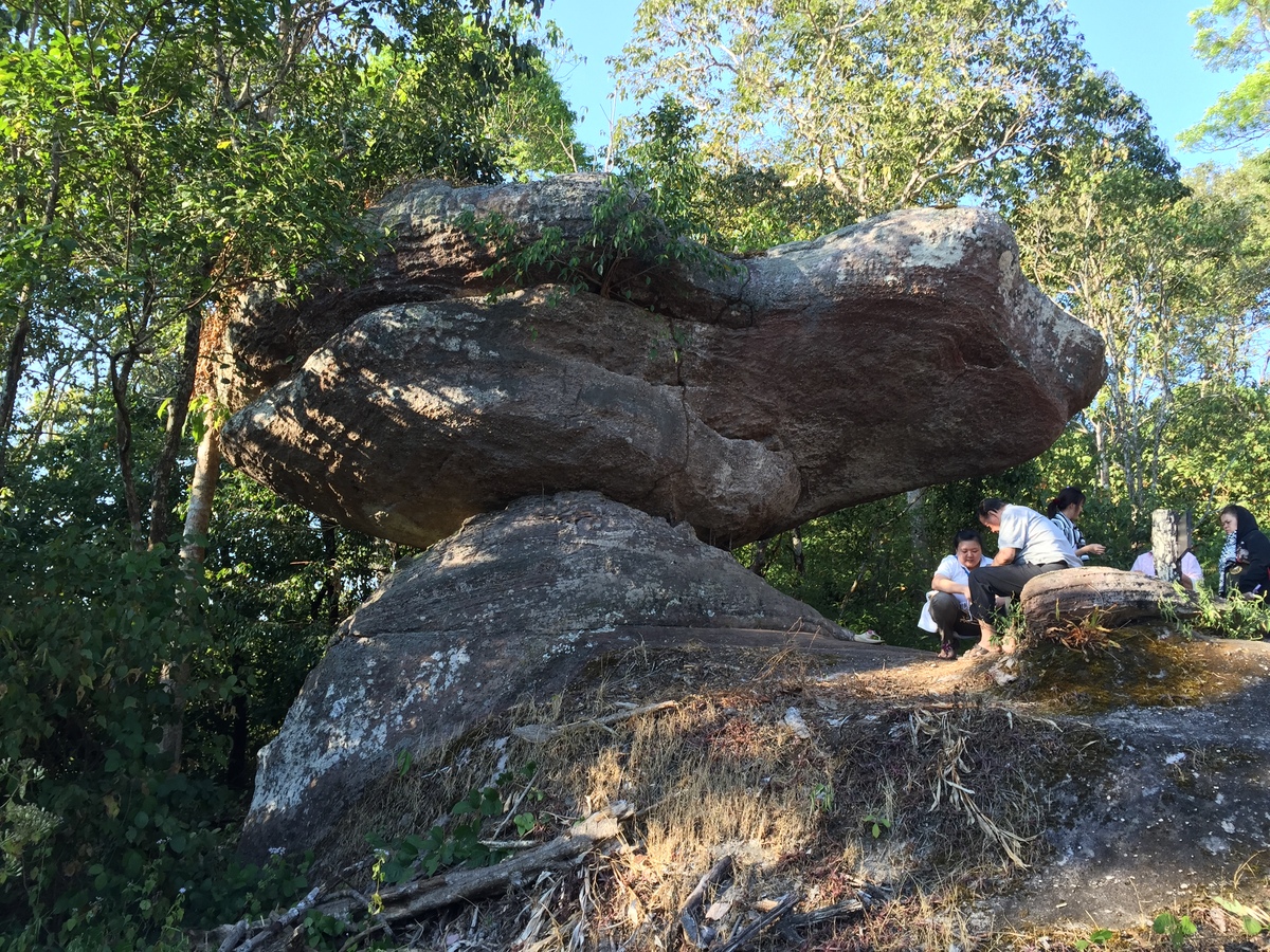 รูปถ่าย ไทย(Thailand) อุทยานแห่งชาติภูหินร่องกล้า(Phu Hin Rong Kla National Park) 2014-12 128