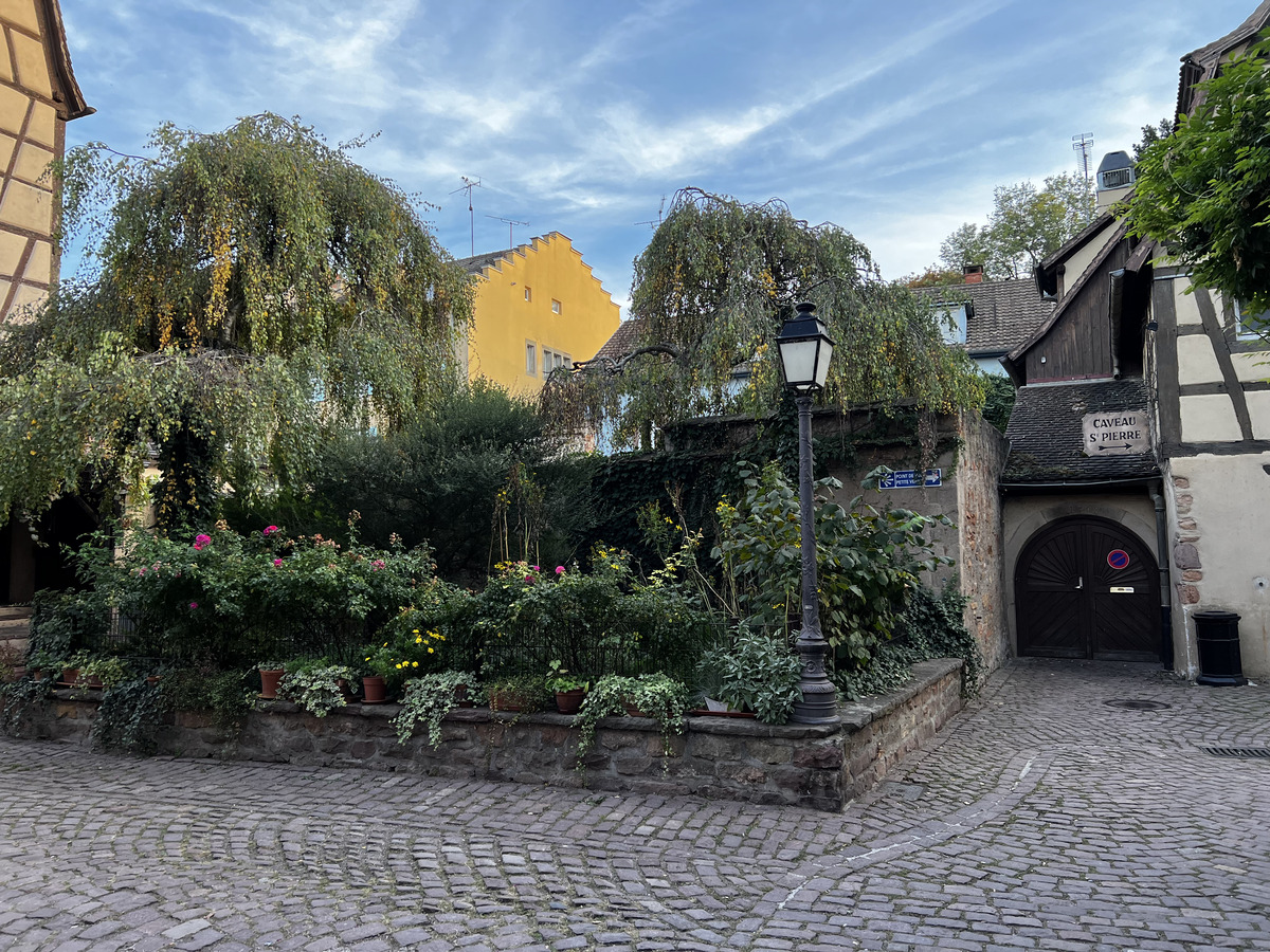 รูปถ่าย ฝรั่งเศส(France) กอลมาร์(Colmar) 2023-10 6