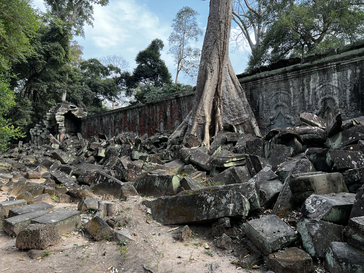 รูปถ่าย กัมพูชา(Cambodia) เสียมราฐ(Siem Reap) ปราสาทตาพรหม(Ta Prohm) 2023-01 12