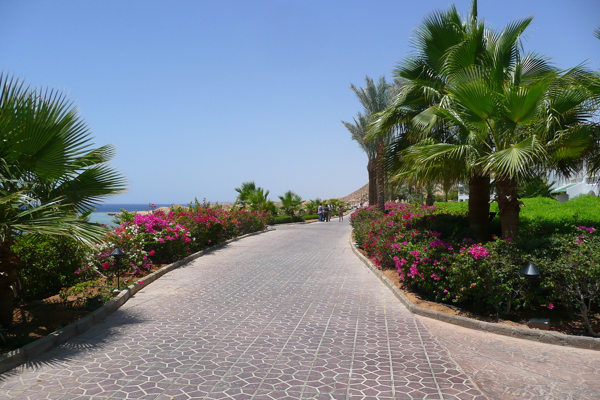 รูปถ่าย อียิปต์(Egypt) ชาร์มเอลชีค(Sharm el Sheikh) โรงแรมไฮแอต(Hyatt Hotel) 2008-06 72