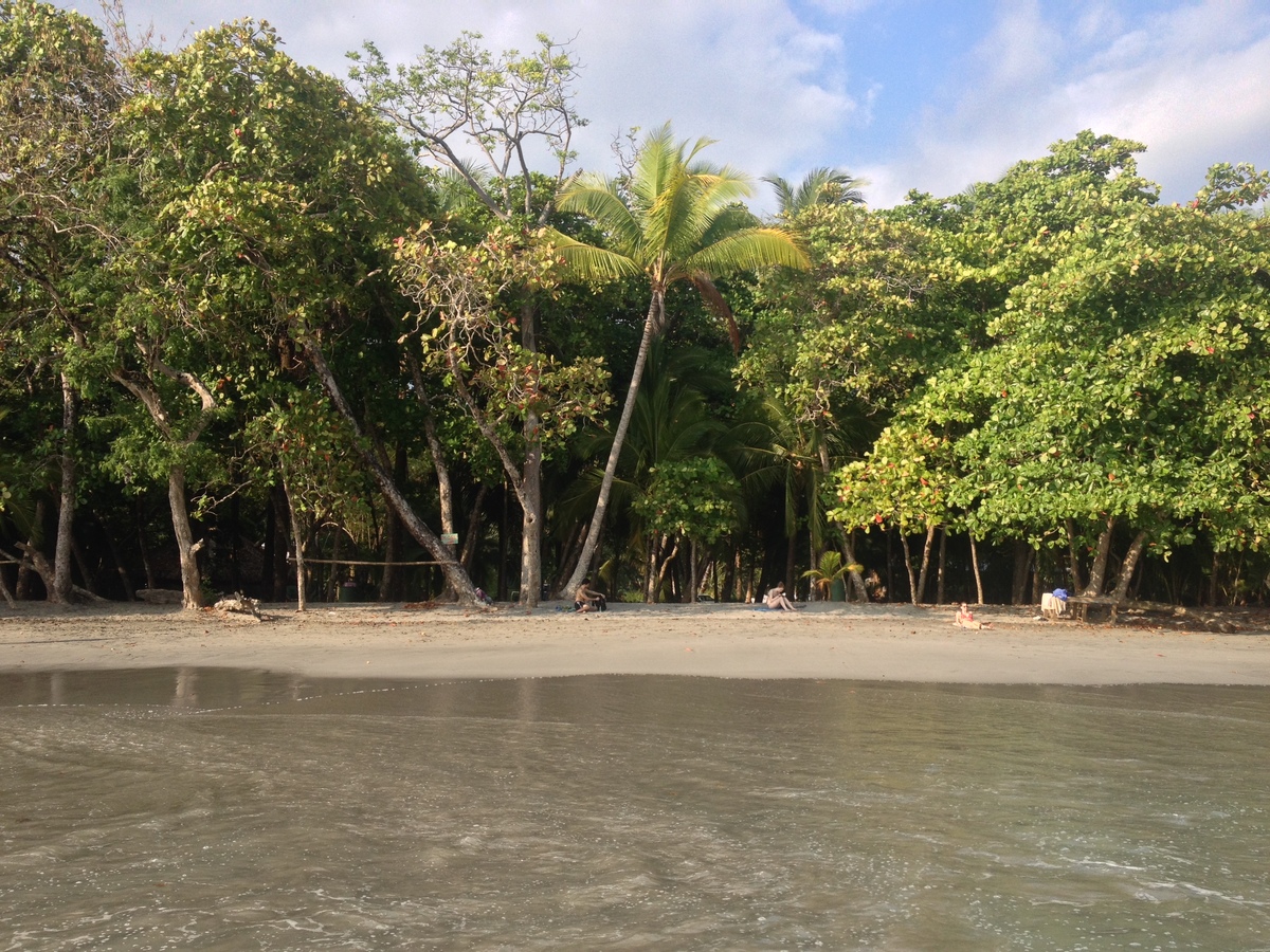 รูปถ่าย คอสตาริกา(Costa Rica) 2015-03 83