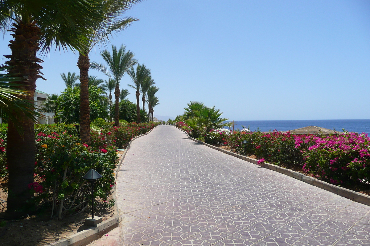 รูปถ่าย อียิปต์(Egypt) ชาร์มเอลชีค(Sharm el Sheikh) โรงแรมไฮแอต(Hyatt Hotel) 2008-06 55