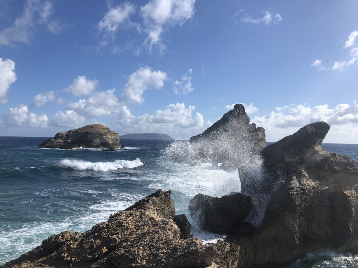 รูปถ่าย กวาเดอลูป(Guadeloupe) แหลมคาสเซิลพอยต์(Castle Point) 2021-02 327