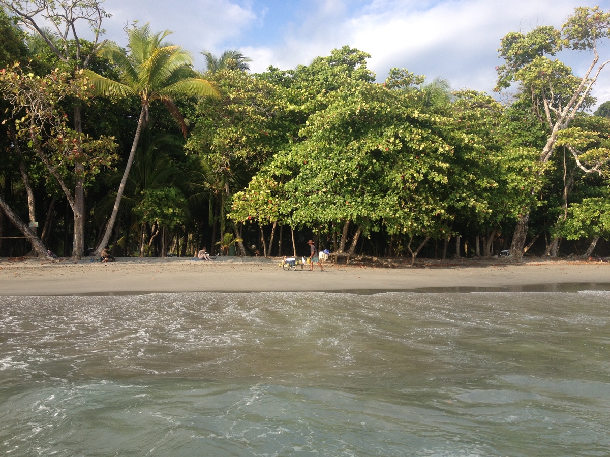 รูปถ่าย คอสตาริกา(Costa Rica) มานวยล์อันโตนีโอ(Manuel Antonio) 2015-03 514