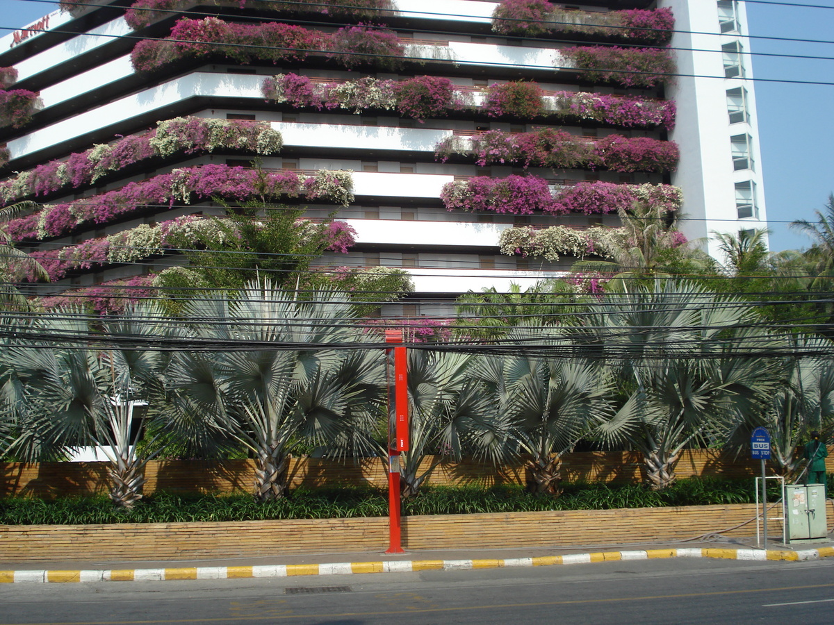 รูปถ่าย ไทย(Thailand) พัทยา(Pattaya) ถนนพัทยาสาย 2(Pattaya 2nd road) 2008-01 12