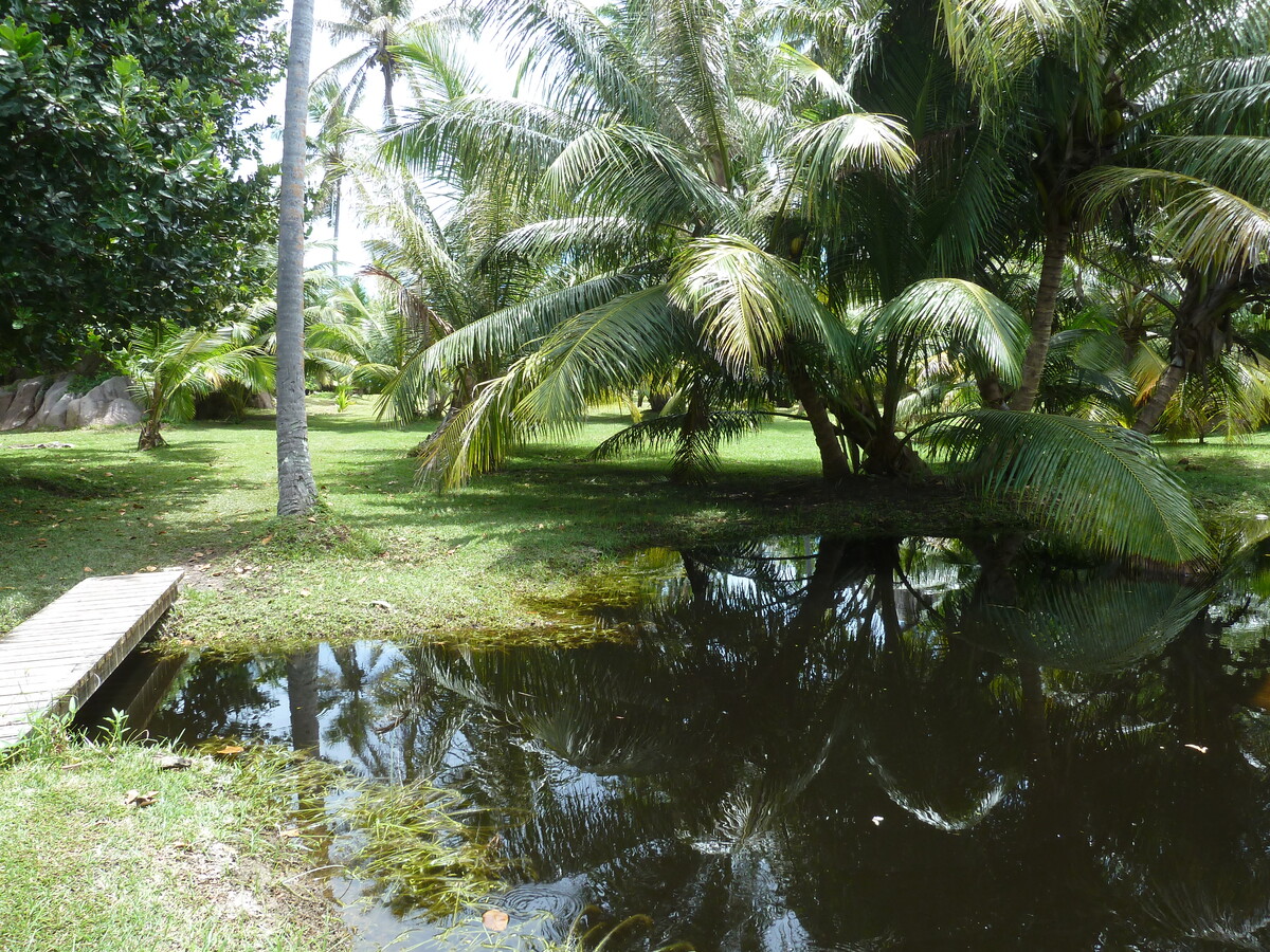 รูปถ่าย เซเชลส์(Seychelles) เกาะกร็องด์เซอร์(Grande Soeur) 2011-10 15