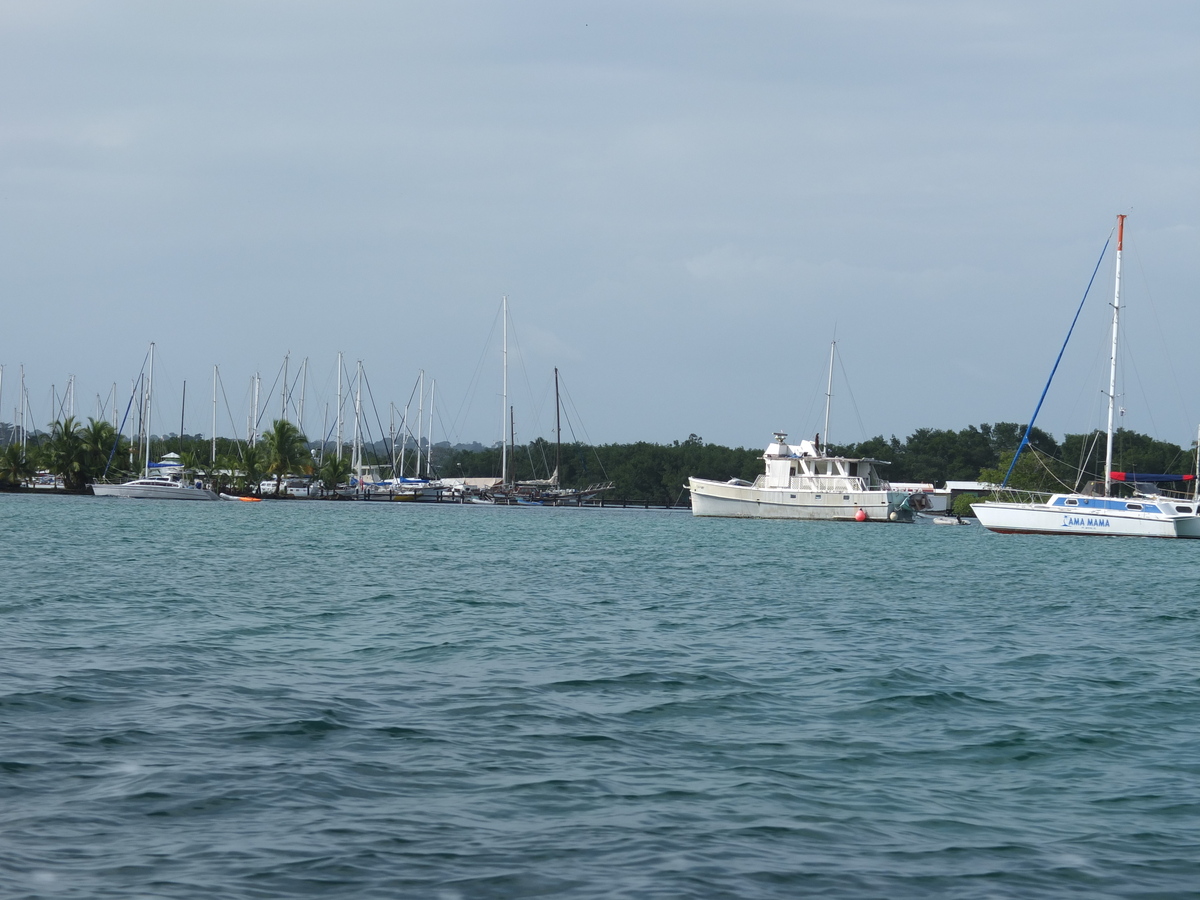 รูปถ่าย ปานามา(Panama) โบกัสเดลโตโร(Bocas del toro) 2015-03 65