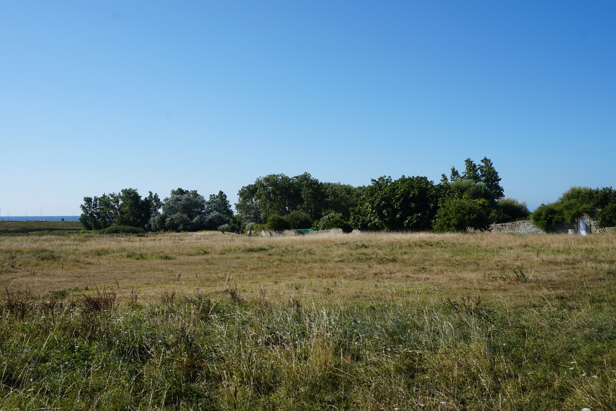 รูปถ่าย ฝรั่งเศส(France) เกาะเอดิก(Hoedic) 2016-08 42