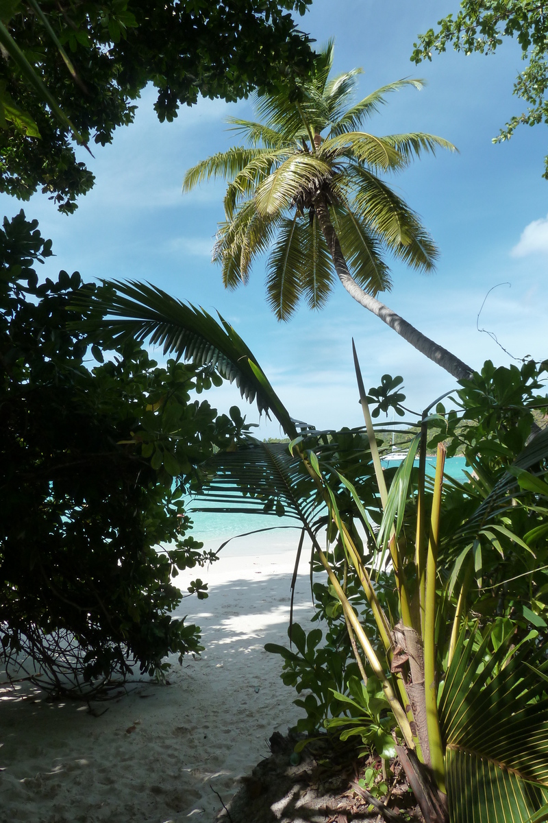 รูปถ่าย เซเชลส์(Seychelles) อ่าวอ็องส์ลาซิโอ(Anse Lazio) 2011-10 61
