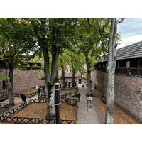 รูปถ่าย ฝรั่งเศส(France) ปราสาทโอ-เคอนิกส์บูร์ก(Koenigsbourg Castle) 2023-10 1