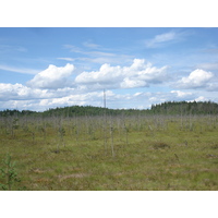 รูปถ่าย รัสเซีย(Russia) จากยาโรสลาฟล์ไปเซนต์ปีเตอร์สเบิร์ก(From Yaroslavl to St Petersburg) 2006-07 48