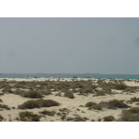 รูปถ่าย สหรัฐอาหรับเอมิเรตส์(United Arab Emirates) ดูไบ(Dubai) หาดจุมัยเราะห์(Jumeirah Beach) 2005-03 6