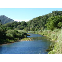 รูปถ่าย นิวแคลิโดเนีย(New Caledonia) ถนนจากกานาลาไปลาฟัว(Canala to La Foa road) 2010-05 54