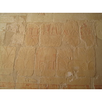 รูปถ่าย อียิปต์(Egypt) ลูซอร์(Luxor) 2007-04 2