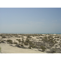 รูปถ่าย สหรัฐอาหรับเอมิเรตส์(United Arab Emirates) ดูไบ(Dubai) หาดจุมัยเราะห์(Jumeirah Beach) 2005-03 9