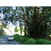 รูปถ่าย นิวแคลิโดเนีย(New Caledonia) ถนนจากกานาลาไปลาฟัว(Canala to La Foa road) 2010-05 65