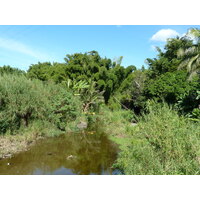 รูปถ่าย นิวแคลิโดเนีย(New Caledonia) ถนนจากกานาลาไปลาฟัว(Canala to La Foa road) 2010-05 14