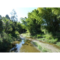 รูปถ่าย นิวแคลิโดเนีย(New Caledonia) 2010-05 4