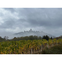 รูปถ่าย ฝรั่งเศส(France) ปราสาทโอ-เคอนิกส์บูร์ก(Koenigsbourg Castle) 2023-10 20