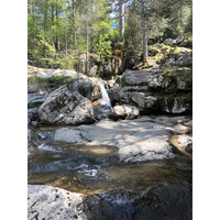 รูปถ่าย ฝรั่งเศส(France) คอร์สิคา(Corsica) ป่าไอโตเน(Aitone Forest) 2021-06 12