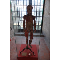 รูปถ่าย สเปน(Spain) ซานเตียโกเดกอมโปสเตลา(Santiago de Compostela) 2013-01 41