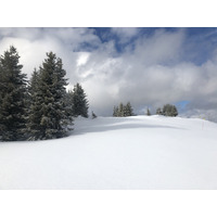 รูปถ่าย ฝรั่งเศส(France) เมแฌฟว์(Megeve) 2019-03 67