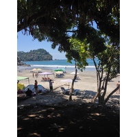 รูปถ่าย คอสตาริกา(Costa Rica) มานวยล์อันโตนีโอ(Manuel Antonio) 2015-03 522