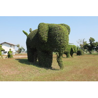 รูปถ่าย ไทย(Thailand) แม่น้ำโขง(Mekong river) 2012-12 154
