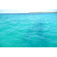 รูปถ่าย นิวแคลิโดเนีย(New Caledonia) เกาะลีฟู(Lifou) อ่าวชาโตบรีย็อง(Chateaubriand Bay) 2010-05 23