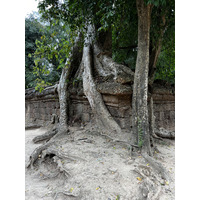 รูปถ่าย กัมพูชา(Cambodia) เสียมราฐ(Siem Reap) ปราสาทตาพรหม(Ta Prohm) 2023-01 49