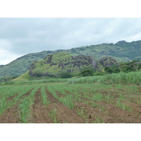 รูปถ่าย ฟิจิ(Fiji) ถนนจากนาดีไปเลาโตกา(Nadi to Lautoka road) 2010-05 4
