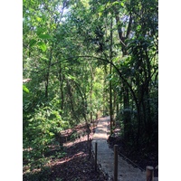 รูปถ่าย คอสตาริกา(Costa Rica) มานวยล์อันโตนีโอ(Manuel Antonio) 2015-03 60