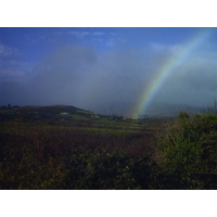 รูปถ่าย ไอร์แลนด์(Ireland) 2000-11 15